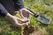 Man`s hands are held by a rifle bullet found with a metal detector. Shovel lies next to the grass.