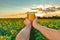 Man`s hands hold a jar of honey against the background of a field with sunflowers and the evening sky. Beekeeping concept