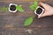 man\'s hands holding russian comfrey plants in pot on wooden background for planting. comfrey booking 14