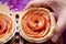 Man`s hands placing a fresh baked delectable mini apple rose tartlet on the wooden breadboard