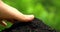 Man`s hands plant a seed in to the ground hill on green background. Closeup side view