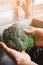 Man\'s hands washing broccoli.