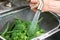 Man\'s Hands Washing Fresh Broccolli Vegetables