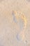 Man\'s right foot footprint on light beach sand, Mexico 2015