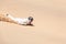 Man sandboarding in Swakopmund
