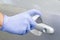 Man sanitizing door handle of his car outdoors.  Male hand in protective glove holding sanitizer closeup