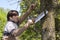 Man sawing a branch with an handsaw