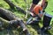 A man is sawing a garden tree with an electric chainsaw.