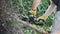 Man sawing a tree limb