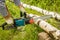 Man sawing wood, using electric chainsaws