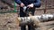 A man saws a birch log on a special stand with an electric saw. Harvesting firewood