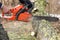 A man saws a branch of locust tree with an orange chain saw for gasoline to clean garden or park.