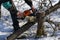 A man saws down a broken tree in winter