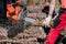 Man saws firewood with a red chainsaw