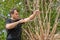 Man saws off branches, forming a crown of the tree, at their summer cottage