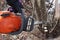 A man saws a tree with an orange chain saw to clean the old overgrown fence.