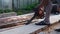 A man saws wood boards for building a house from environmentally friendly and natural materials.