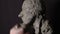 Man sculptor creates sculpt bust clay human woman sculpture. Statue craft creation workshop