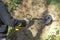 Man searches the slope in the forest in search of treasure using a metal detector.