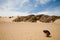 Man searching the sand for diamonds in Namibia