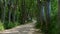 A man seen from behind running by the mountain road. Camera movement dolly in.