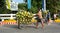 A man selling coconut fruits on street in Sadek, Vietnam