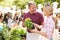 Man Selling Herbs And Plants At Farmers Food Market