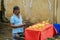 Man sells freshly carved pineapples on street food fruit stall in Jaipur, India