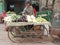 Man sells vegetables in the market of Delhi, India