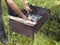 Man setting fire in a barbecue grill