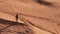 A man in shaman's clothes walks on the sand of the desert with a staff in his hands