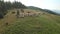 Man and sheep flock on mountain meadow.