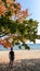 A man in shorts standing under a colorful tree on the beach in Gdynia, Poland, and enjoying the view on the calm Baltic Sea