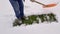 A man shovels freshly fallen snow. Green grass under the snow.