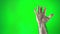 man shows an open palm on a green chromakey background then they close their fist opening fingers again number 5 does