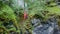 Man with signal fire in nature. Stock footage. Top view of lost traveler in forest and in despair he lit red smoke bomb