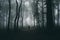 Man silhouette on Halloween night in dark mysterious forest with fog