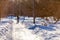 A man silhouette with a stroller strolls along the snow-covered park avenue lit by the rays of the approaching March sun.