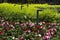 A man sits near a garden and appears to be swallowed by a plant in Julemarked Byparken in the center of Bergen during an afternoon