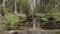 Man sits in overgrown stream in forest, picks up cool water and washes his face.