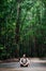 Man sits on road, Bilar Man-Made Forest, Bohol, Philippines