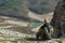 Man sits on the slope of mountain