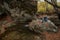 Man sits on a stone near a stream in autumn