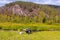 A man sits at a table on the bank of the Ural river