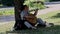 a man sits under a tree in the park and plays guitar