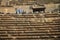 The man sitting in the amphitheater in Bosra