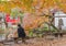 Man sitting back on a bench in the inokashira park of Kichijoji city with the Benzaiten temple covered by autumn foliage