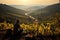 A man sitting on a hill overlooking a vineyard, AI