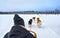 Man sitting in husky sledge in Lapland Finland reflex