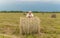 A man sitting on a large armful of straw in an empty field